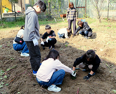 2025年芋掘会ギャラリー